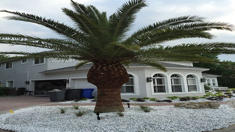 Understanding Florida Homestead Exemption in Equity Planning